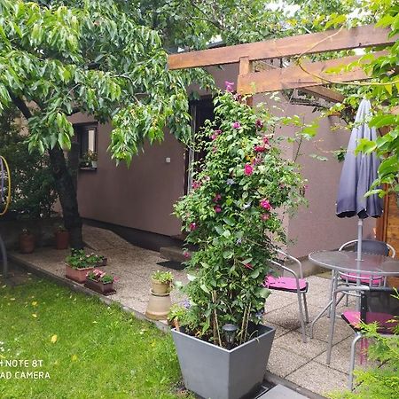 Apartment Garden Τσέσκε Μπουντεγιόβιτσε Εξωτερικό φωτογραφία