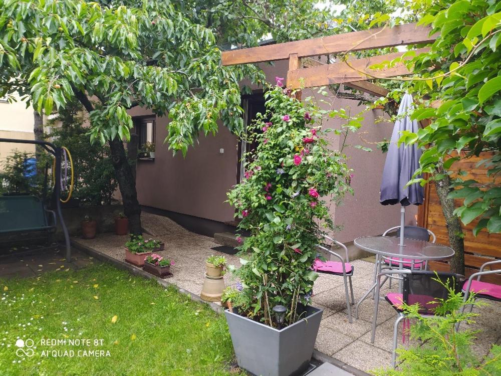 Apartment Garden Τσέσκε Μπουντεγιόβιτσε Εξωτερικό φωτογραφία